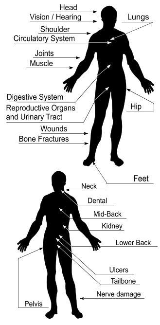 Magnetopathy will work with any organ