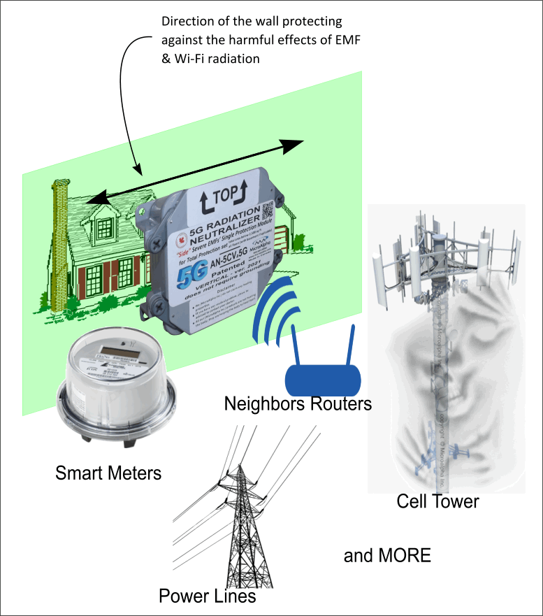 EMF Large House Protection from One "Side" Neutralizer